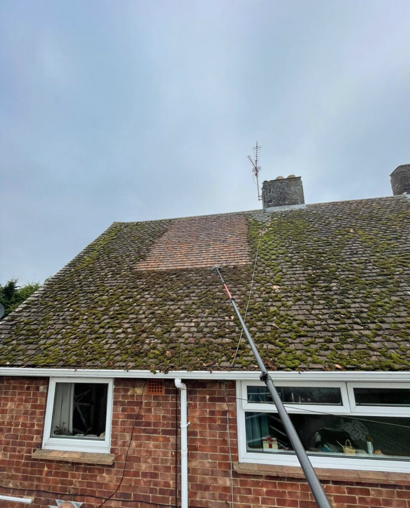 Roof Moss Removal